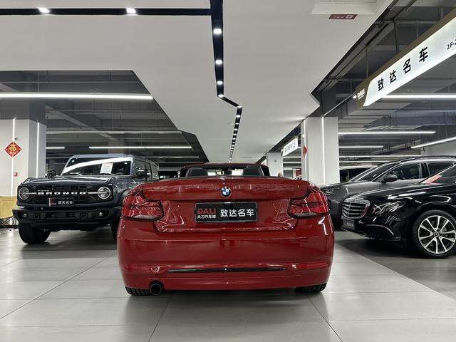 BMW BMW 2-Series (Import)