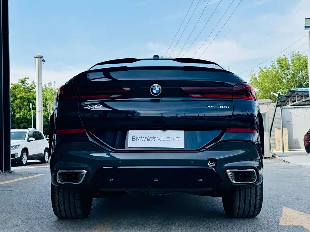 BMW X6