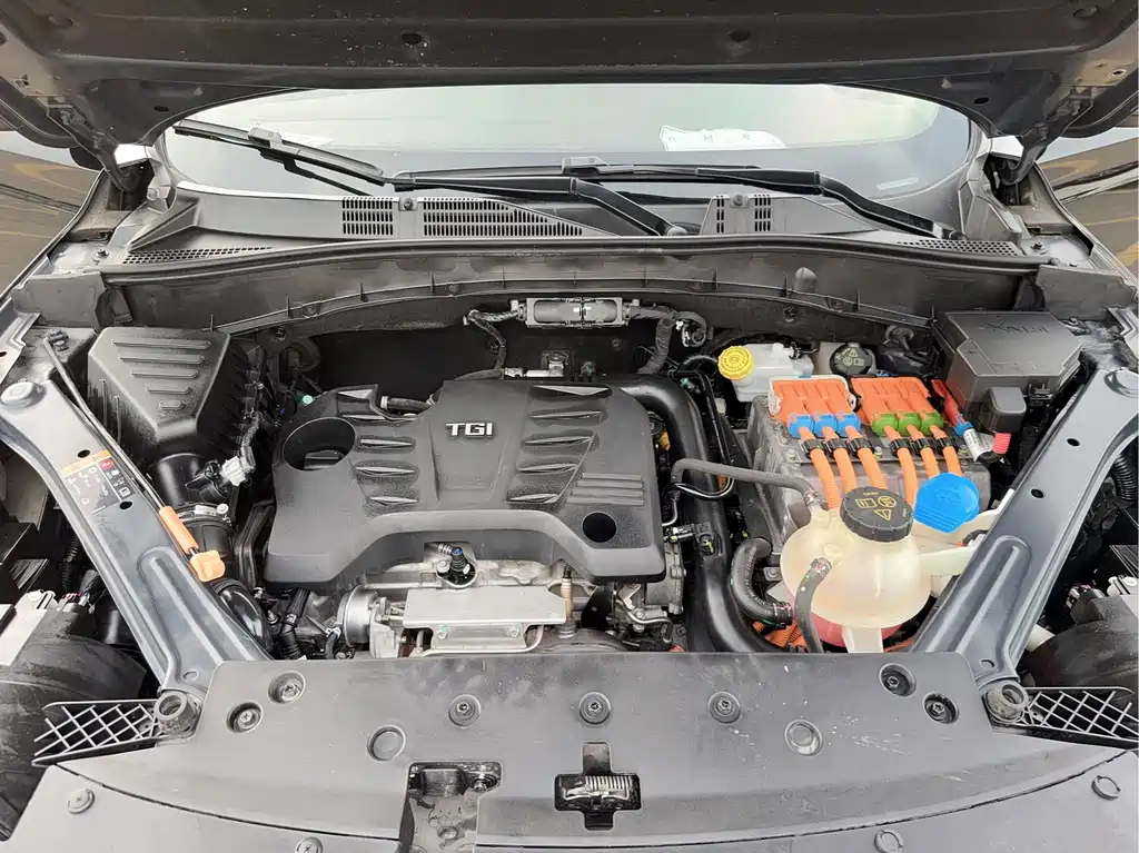 Roewe RX5 New Energy