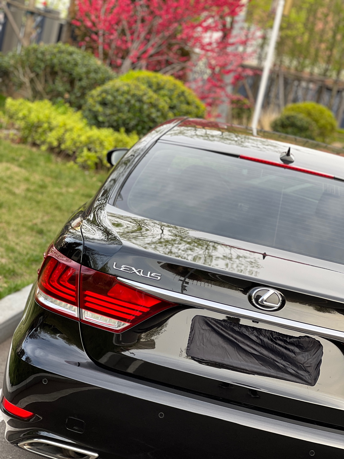 Lexus LS