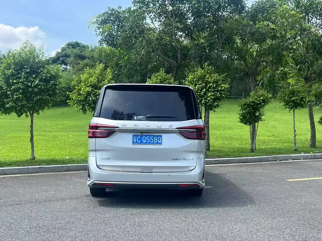 大通 G20