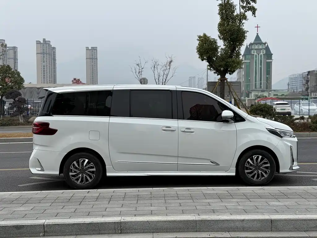 大通 G20
