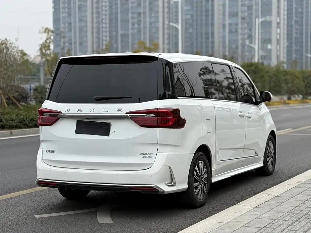 大通 G20