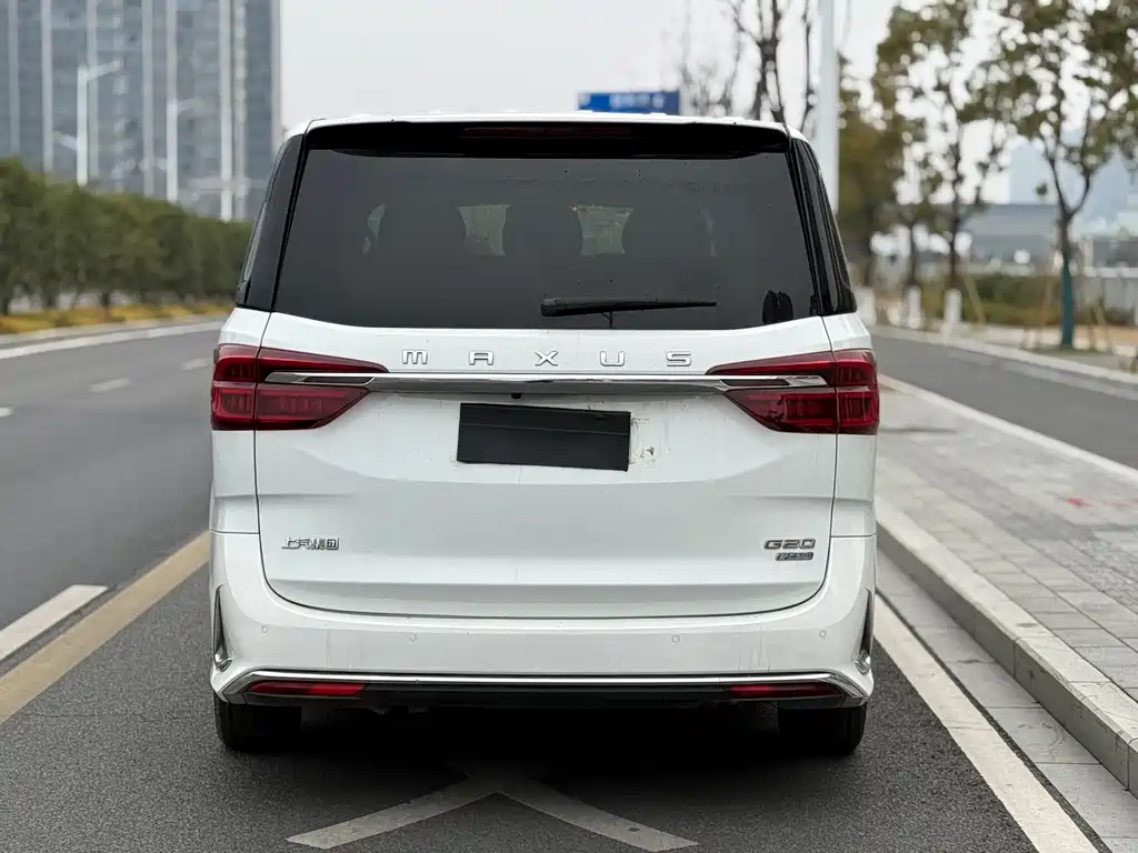 大通 G20