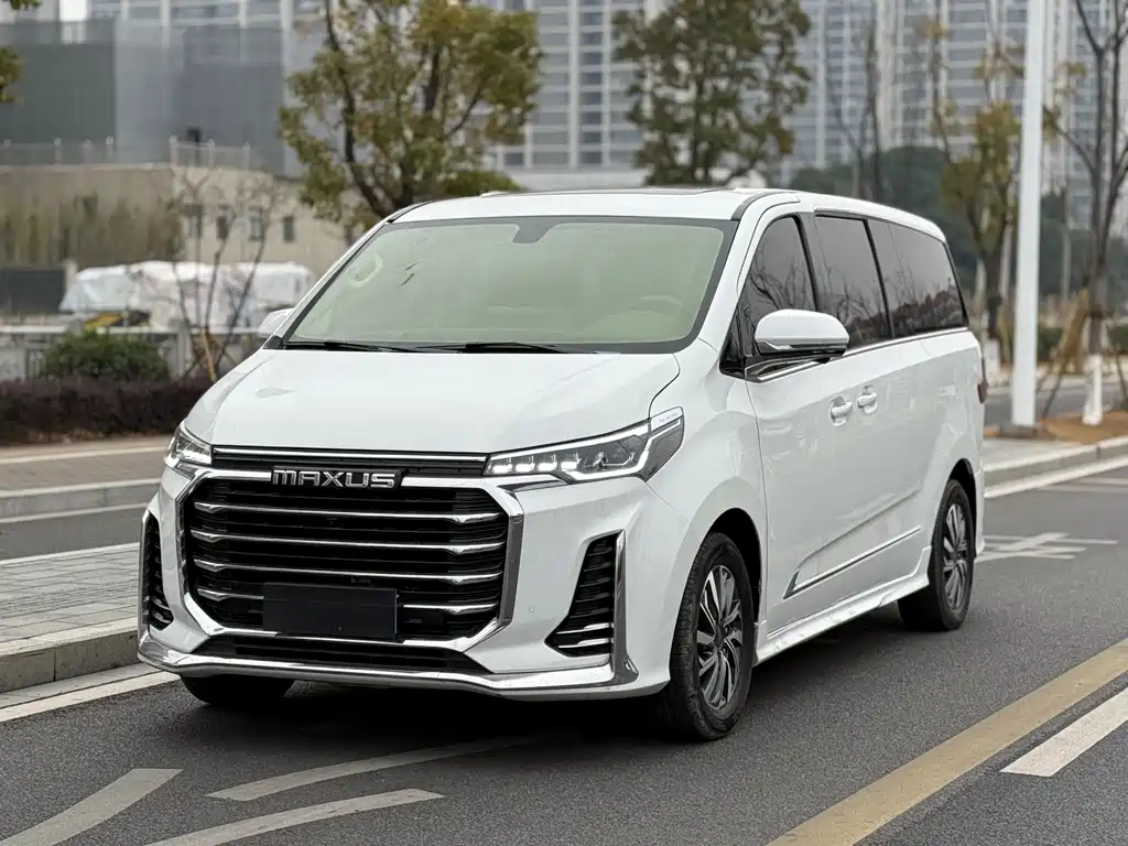 大通 G20