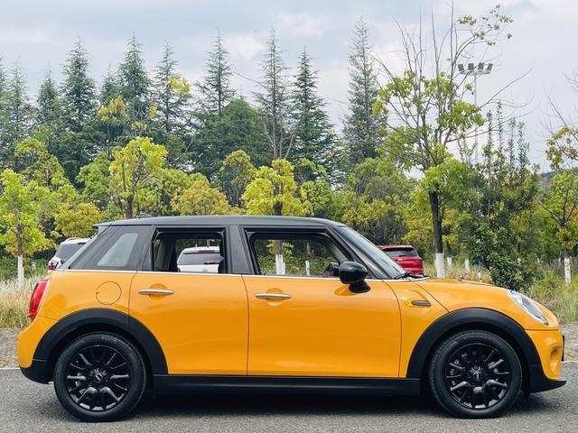 MINI MINI