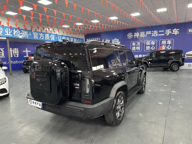 Jetour Jetour Traveller