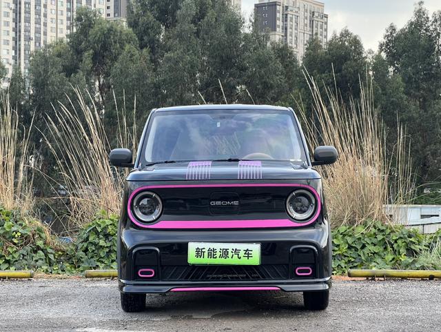 Galaxy Panda