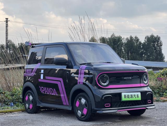 Galaxy Panda