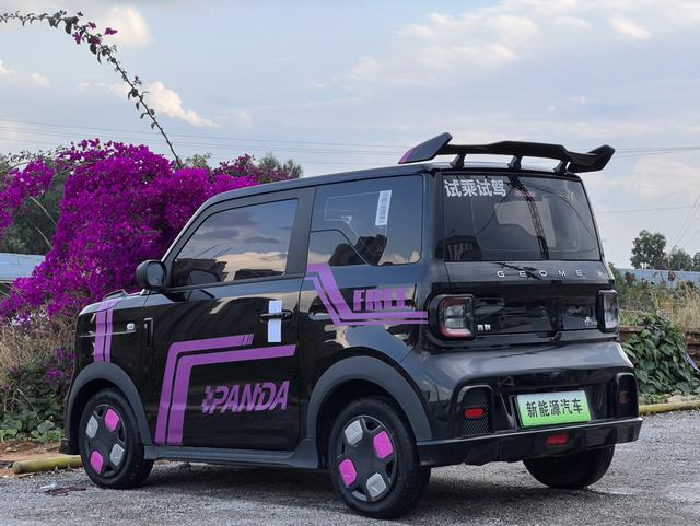 Galaxy Panda