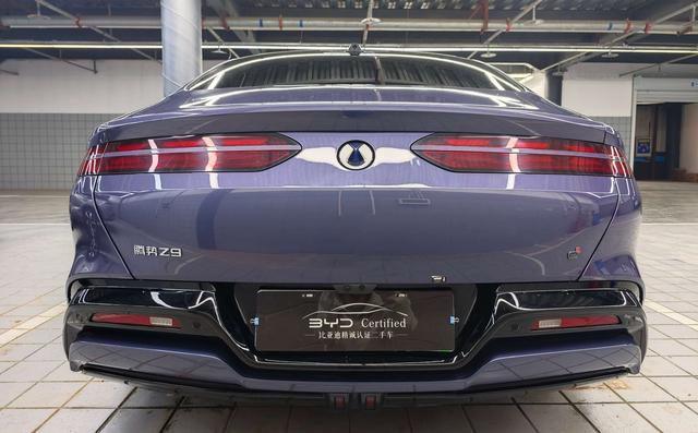 Denza Denza Z9 DM