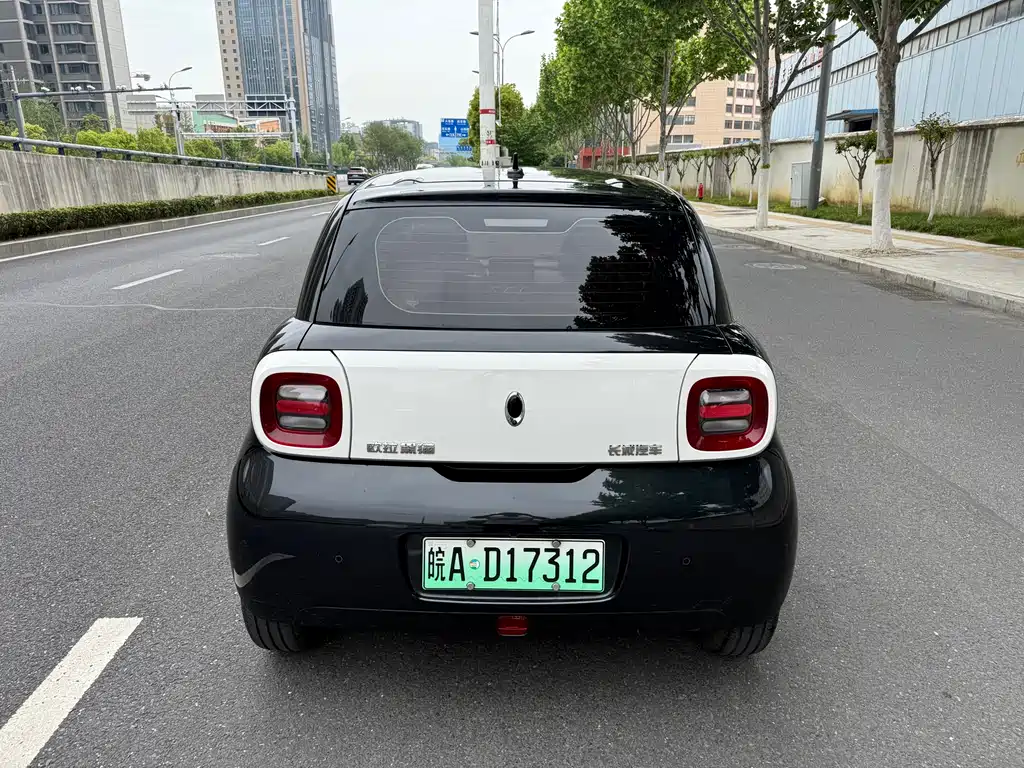 Ora Ora Black Cat