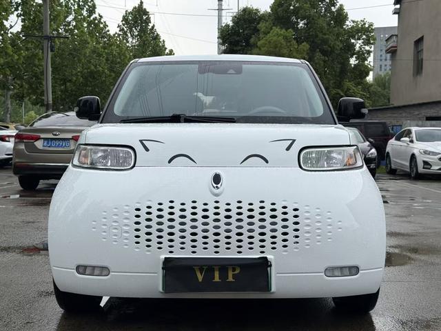 Ora Ora White Cat