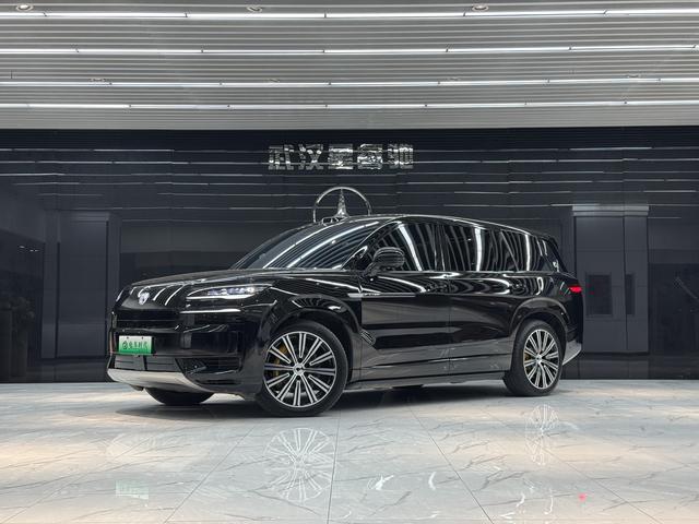 Denza Denza N9 DM