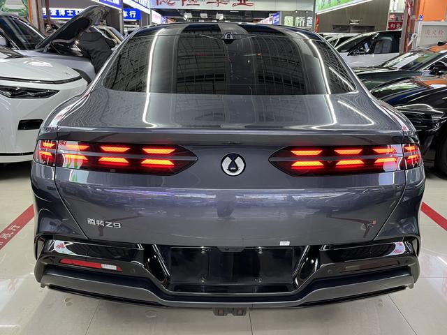 Denza Denza Z9 DM