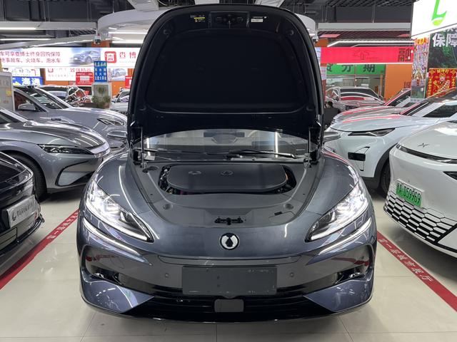 Denza Denza Z9 DM