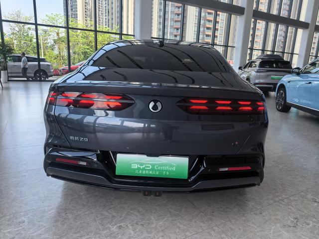 Denza Denza Z9 DM