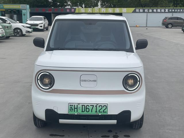 Galaxy Panda