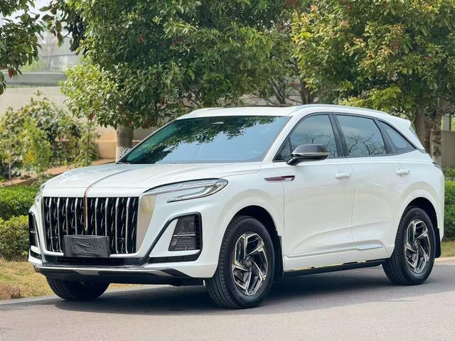 Hongqi Hongqi HS3