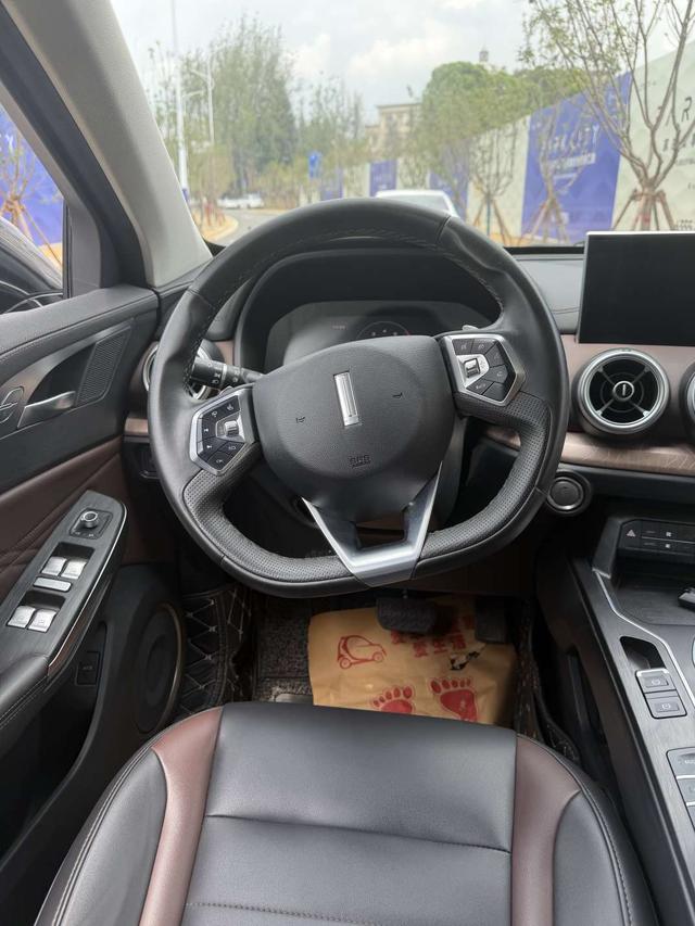 WEY WEY VV5