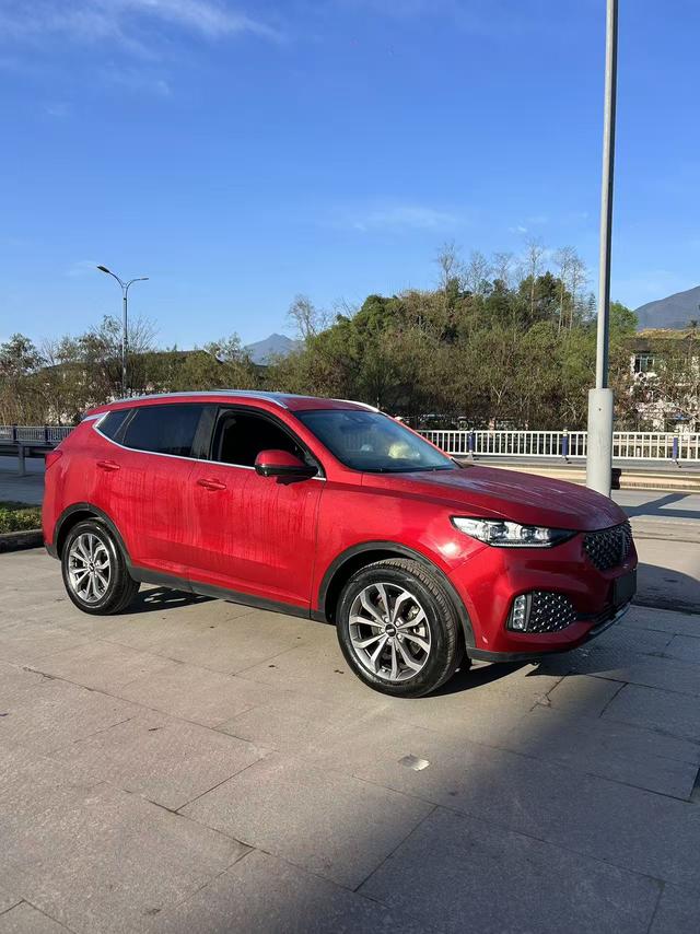 WEY WEY VV6