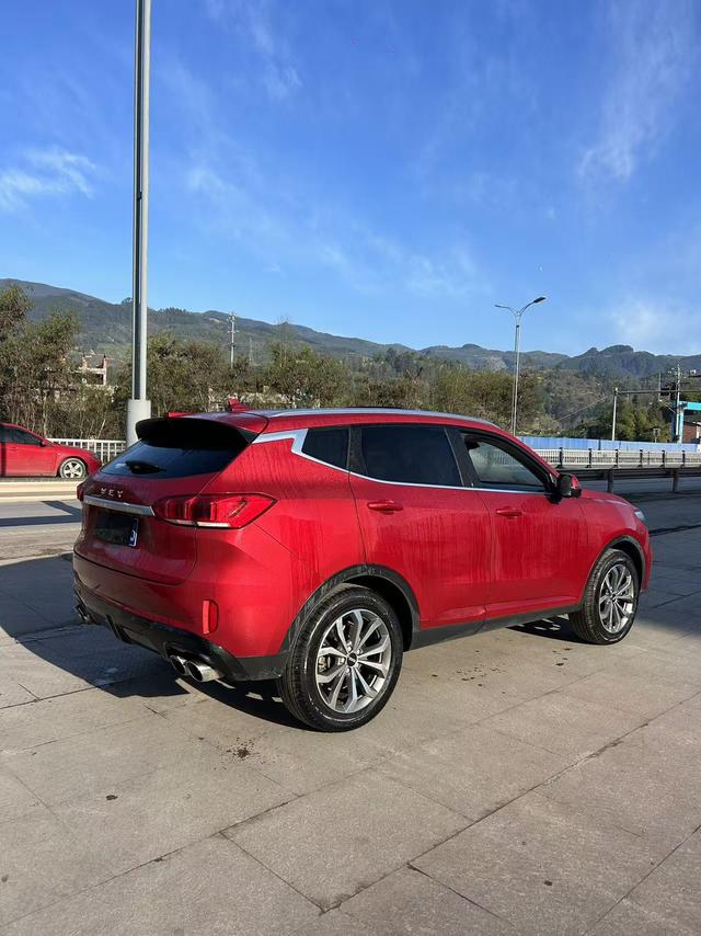 WEY WEY VV6