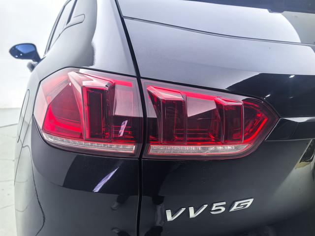 WEY WEY VV5