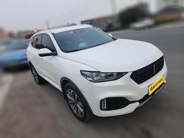 WEY WEY VV6
