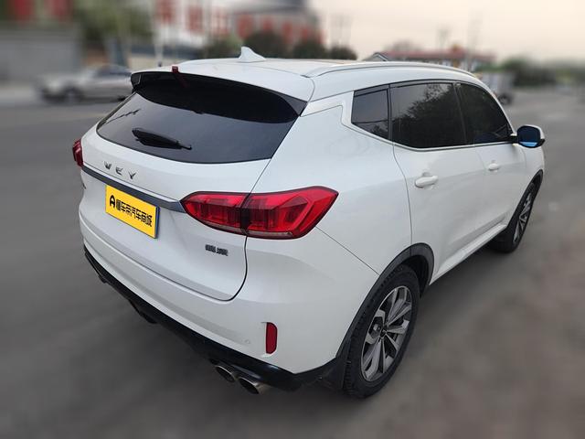 WEY WEY VV6