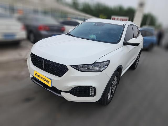 WEY WEY VV6