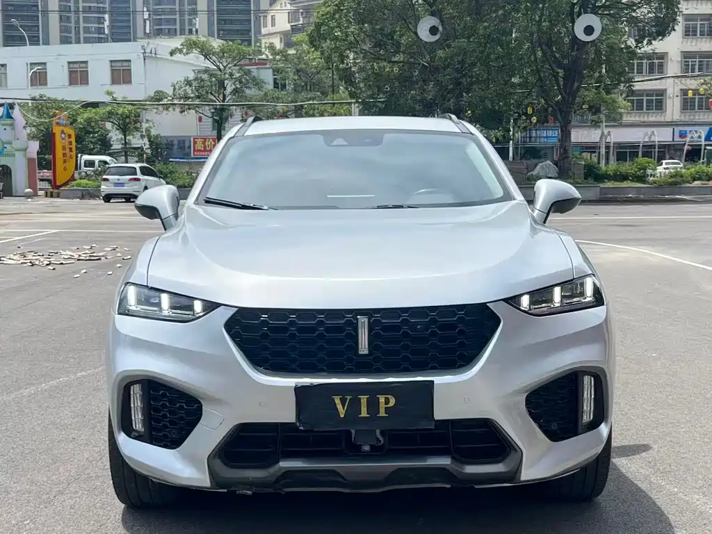 Wey Wey VV7