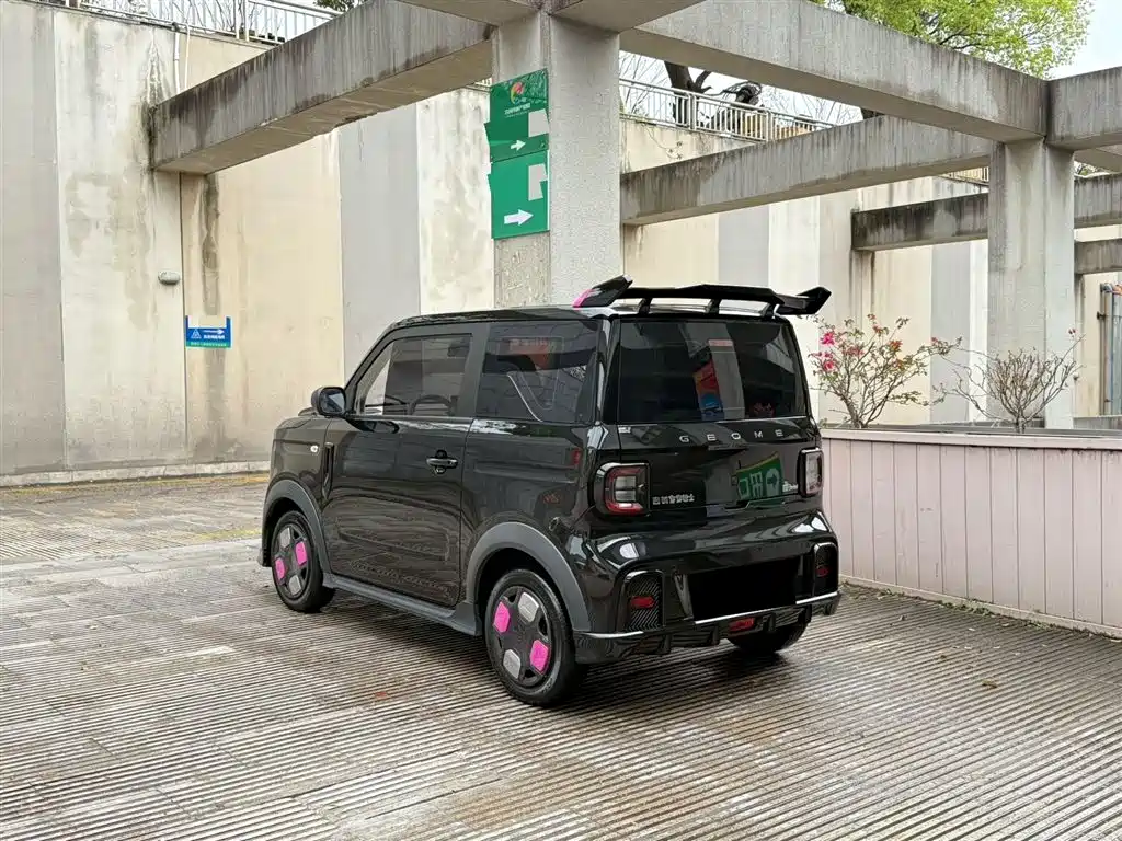 Galaxy Panda