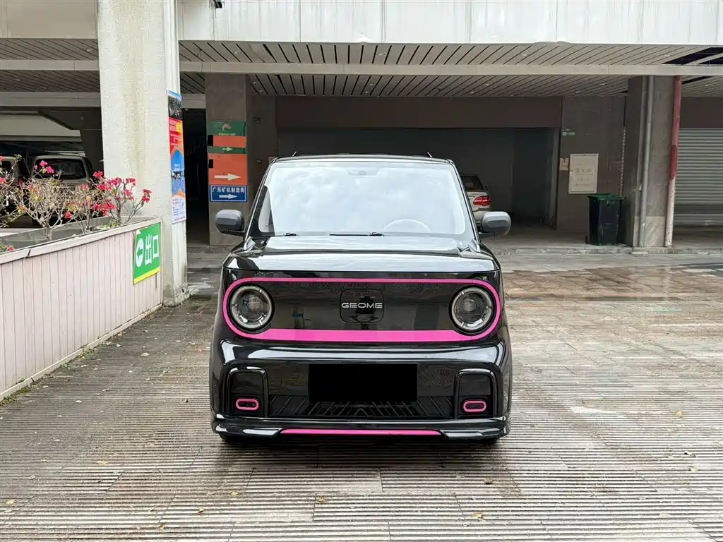 Galaxy Panda