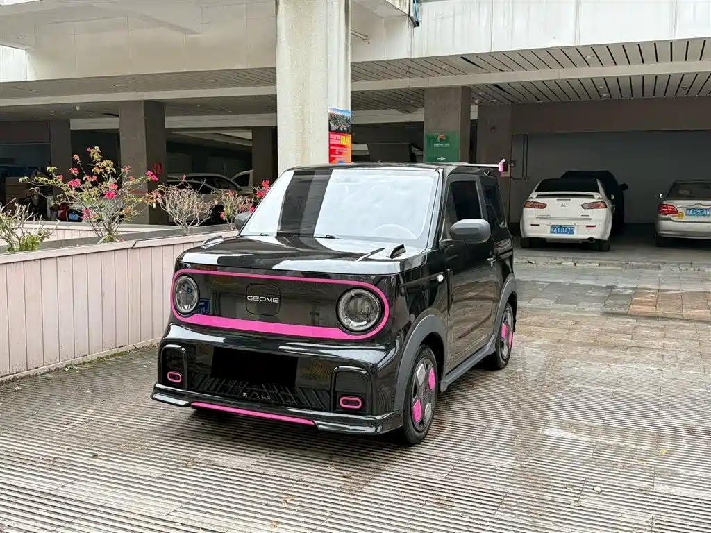 Galaxy Panda