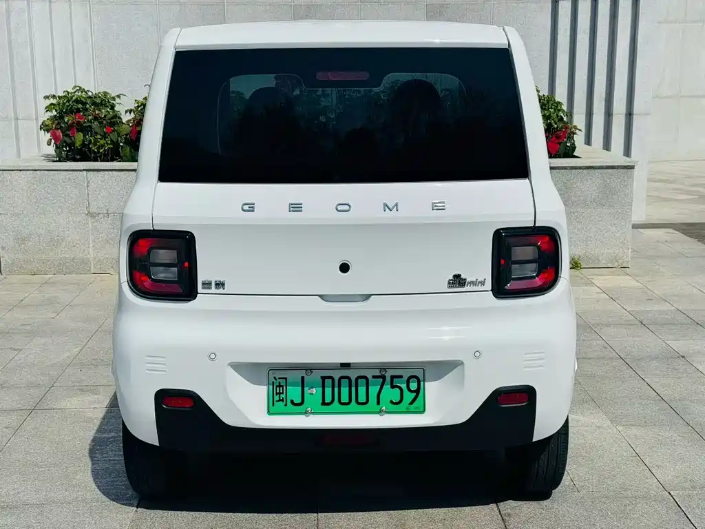Galaxy Panda