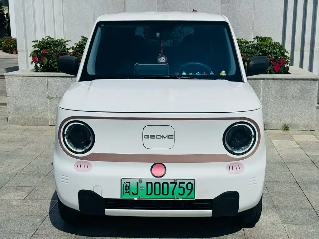 Galaxy Panda