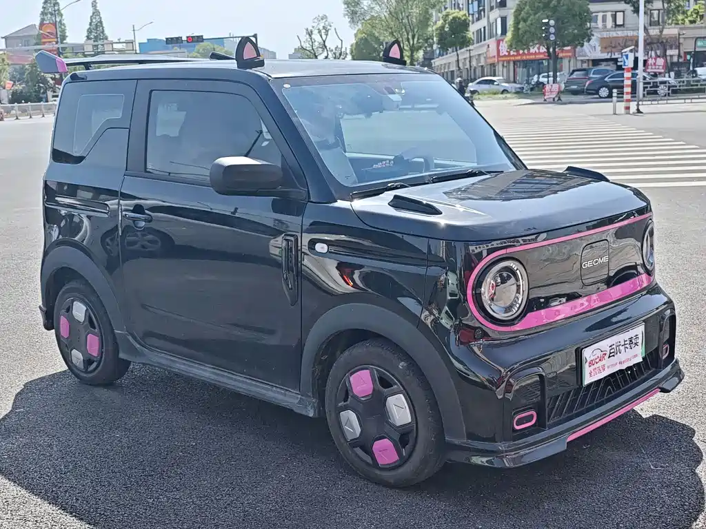 Galaxy Panda