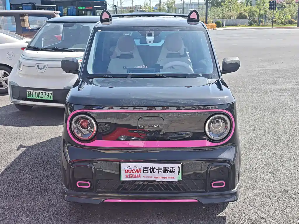 Galaxy Panda