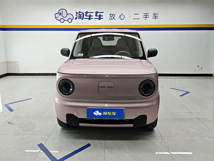 Galaxy Panda