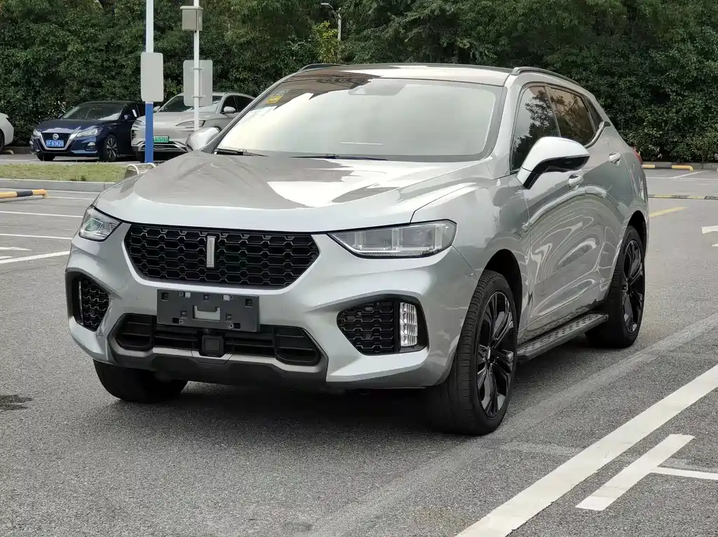 Wey Wey VV5