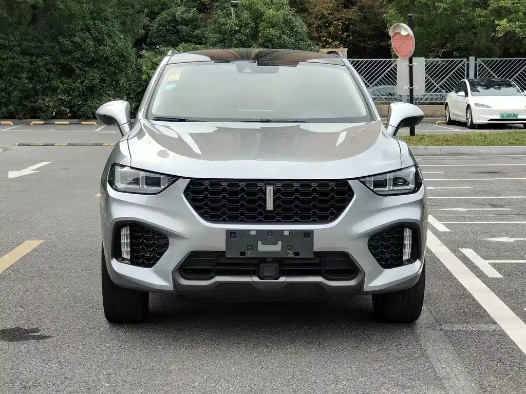 Wey Wey VV5