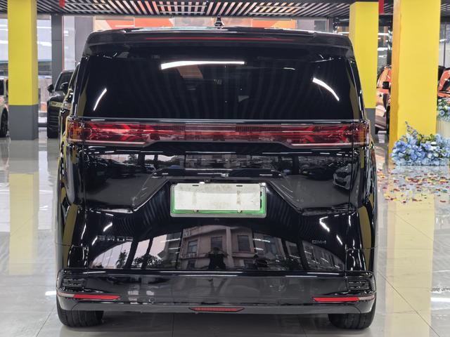 Denza Denza D9 DM