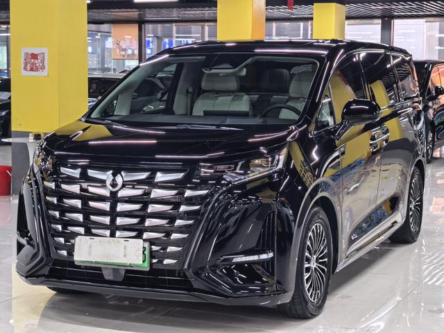 Denza Denza D9 DM