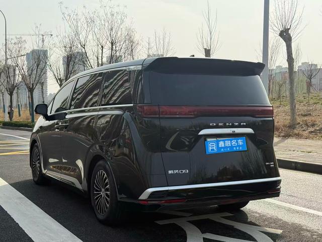 Denza Denza D9 DM