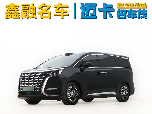Denza Denza D9 DM