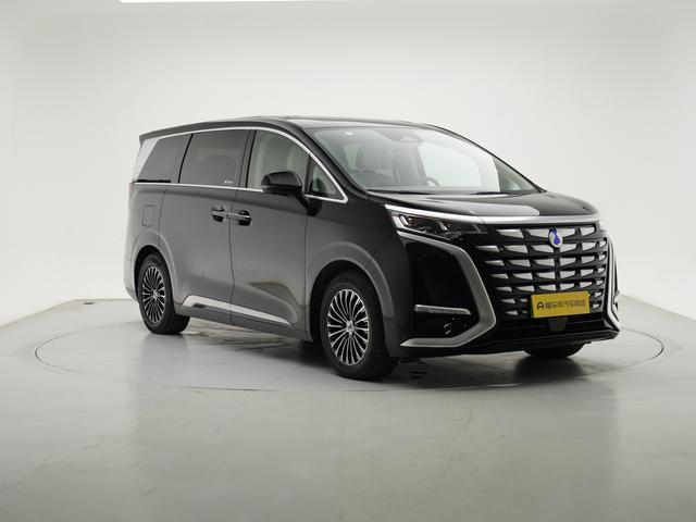 Denza Denza D9 DM