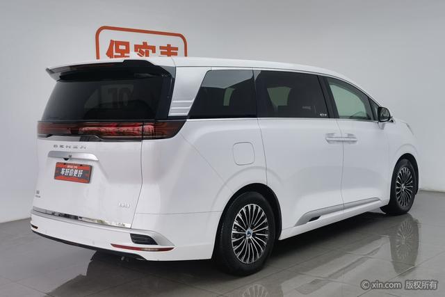 Denza Denza D9 DM