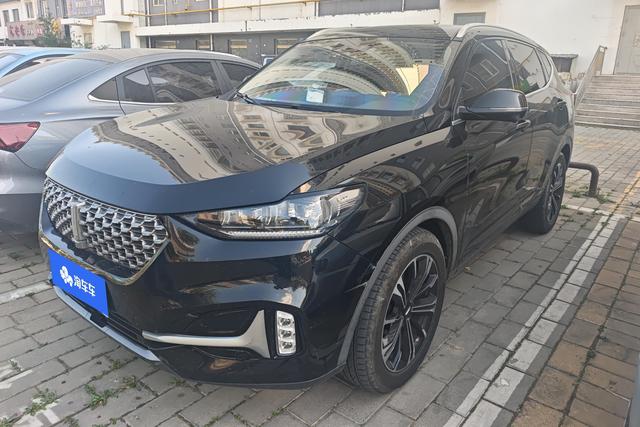 WEY WEY VV6