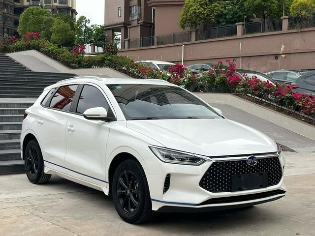 BYD BYD e2