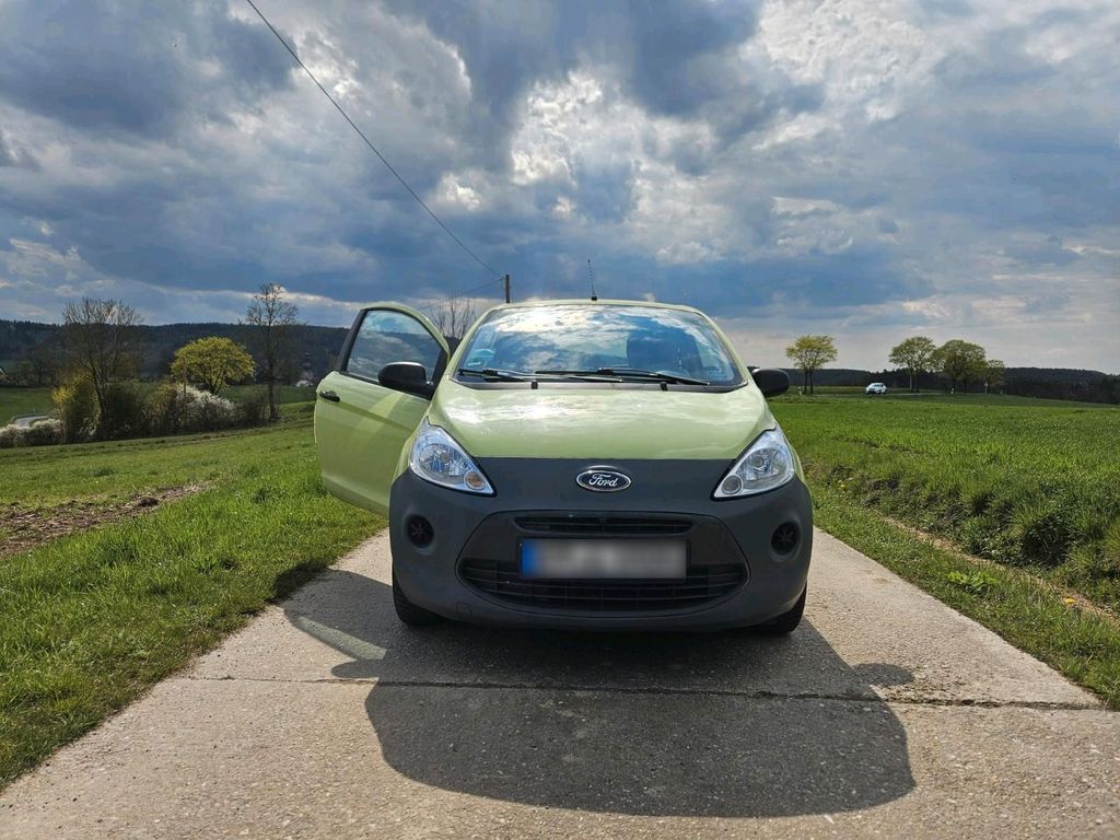Ford Other